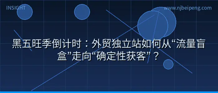 黑五旺季倒计时：外贸独立站如何从“流量盲盒”走向“确定性获客”？